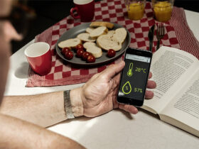 E-TEMPERATURE MESUREUR