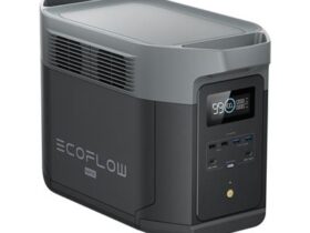 STATION ECOFLOW DELTA 2 MAX